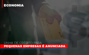 Linha De Credito Para Pequenas Para Pequenas Empresas E Anunciada - Contabilidade em Nova Iguaçu - RJ | Luciane Contabilidade