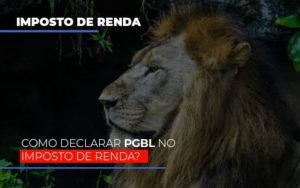 Ir2020:como Declarar Pgbl No Imposto De Renda - Contabilidade em Nova Iguaçu - RJ | Luciane Contabilidade