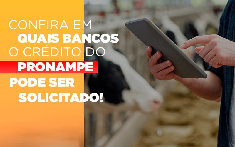 Confira Em Quais Bancos O Credito Pronampe Ja Pode Ser Solicitado - Contabilidade Em Nova Iguaçu - RJ | Luciane Contabilidade