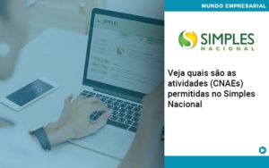 Veja Quais São As Atividades (cnaes) Permitidas No Simples Nacional Abrir Empresa Simples - Contabilidade em Nova Iguaçu - RJ | Luciane Contabilidade